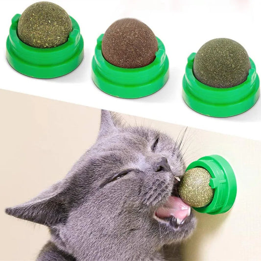 Natural Catnip Cat Scratcher & Wall Ball Toy - Healthy Cat Toys for Digestion