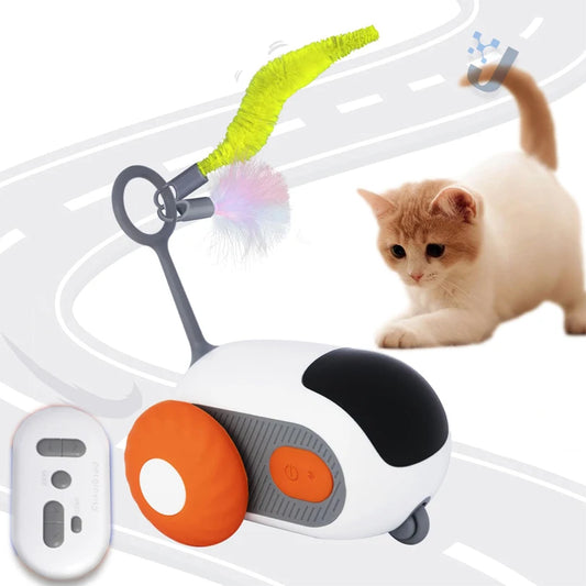 Cat Playing with Automatic Moving Car Toy